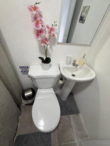 Private Studio Downtown Nagua Free WiFi in Nagua