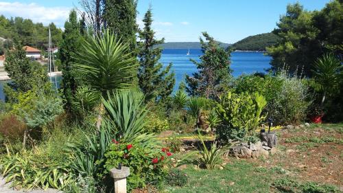  Holiday home Brbinj/Insel Dugi Otok 6304 in Brbinj