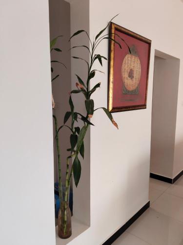 فيلا villa VIP in Seeb (Muscat)