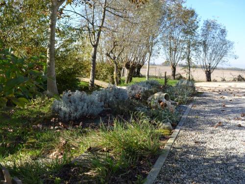 La Noghera - image 6