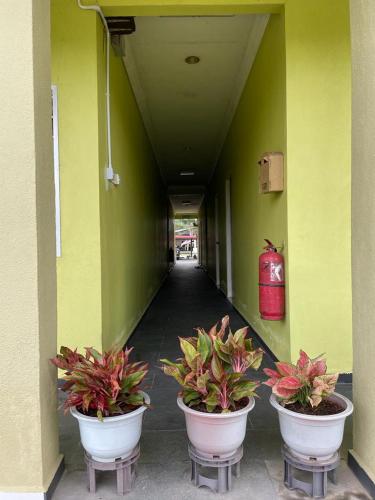 NDE Hotel in Dungun