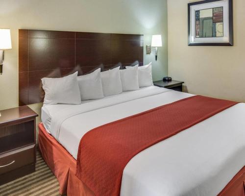 Quality Inn Mt. Pleasant - image 35