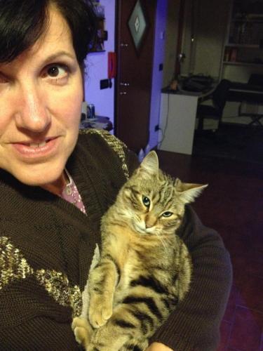 La Noghera - image 8