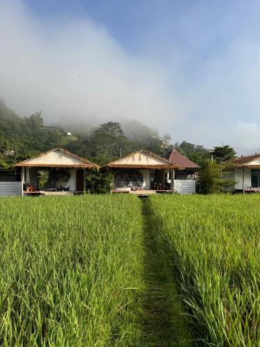 สะปันดีวิว Sapan Dee View บ่อเกลือ น่าน - Nan