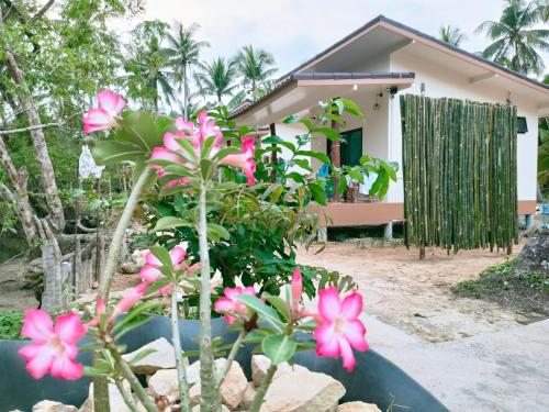 Suanthara Kokut