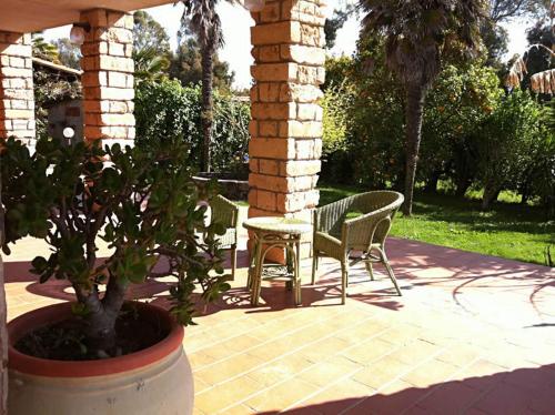 Agave Alghero - image 7