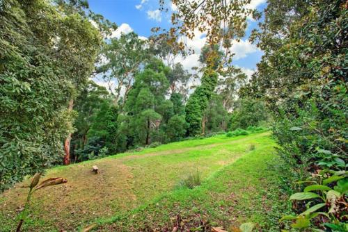 Wildwood Lodge - Photo 3