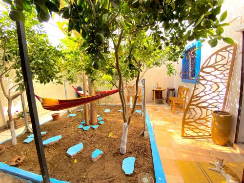 Red Carpet Surf Camp Tamraght , Sea & Mountain View, Surf Lessons Available 2