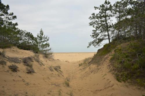 Beachside and equipped apartment - image 2