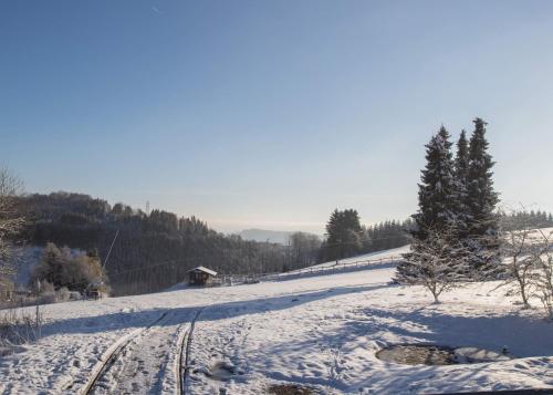 Welcome in - Wohnung Nr 505 mit Balkon in der Nähe der Skipiste - image 3