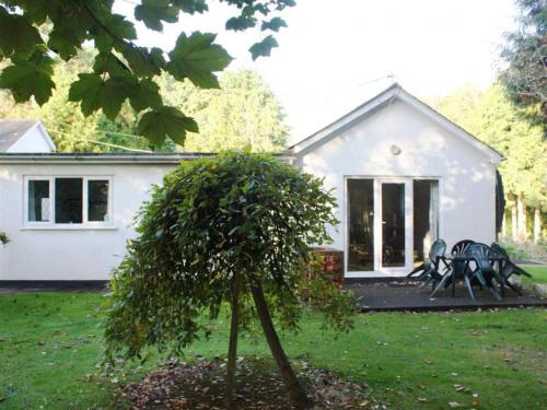 Little Croft - image 5