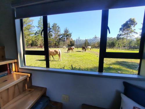 Mountain view Bespoke tiny home in Matjiesrivier (Western Cape)