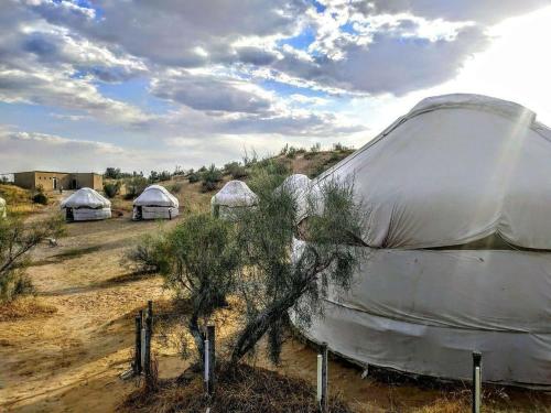 Aydar Eco Yurt Camp – khách sạn tại Forish