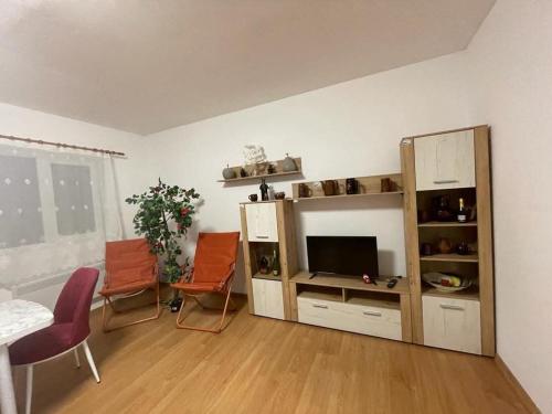 Camping La Ozan in Petrestii De Jos