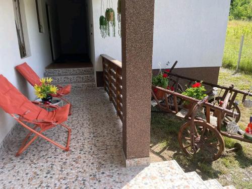 Camping La Ozan in Petrestii De Jos