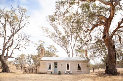 Ravenswood Homestead