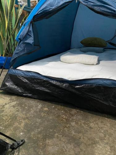 1 twin bed