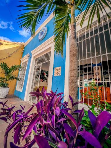 The social beach hostel