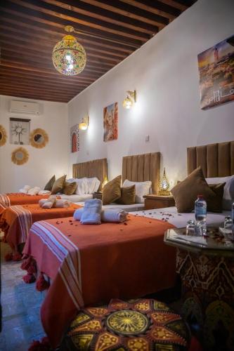 RiaD SHAUALA - FES LEGACY - image 13