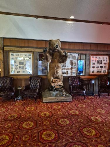 大堂, 托諾帕站賭場酒店 (Tonopah Station Hotel and Casino) in 托諾怕 (NV)