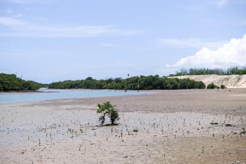 Kite House Barreiras in Guamare