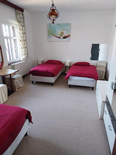 3 twin beds