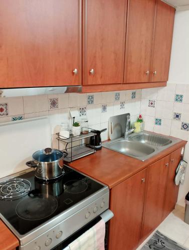 ΚΝΗΜΙΣ Apartment in 아기오스 콘스탄티노스 (프티오티다)