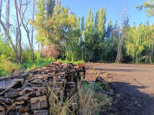 Nuevas Cabañas y Loft Malloa - Naturaleza Desconexión y Viñedos - VI Región (Nuevas Cabanas y Loft Malloa - Naturaleza Desconexion y Vinedos - VI Region) in Malloa