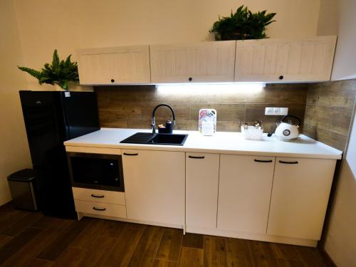 Apartmány 13 Přízemí 2 (Apartmany 13 Prizemi 2) in 錫克