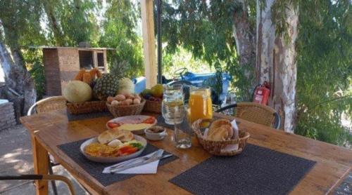 Nuevas Cabañas y Loft Malloa - Naturaleza Desconexión y Viñedos - VI Región (Nuevas Cabanas y Loft Malloa - Naturaleza Desconexion y Vinedos - VI Region) in Malloa