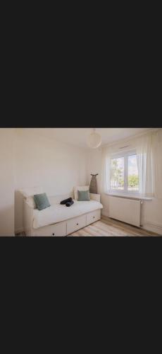 Maison avec salle cinéma, terrasse, jardin, trampoline & BBQ proche Strasbourg (Maison avec salle cinema, terrasse, jardin, trampoline & BBQ proche Strasbourg) in 蘭戈爾桑