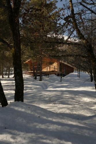 Anima Resort Aghveran - Forest Retreat in Agverana