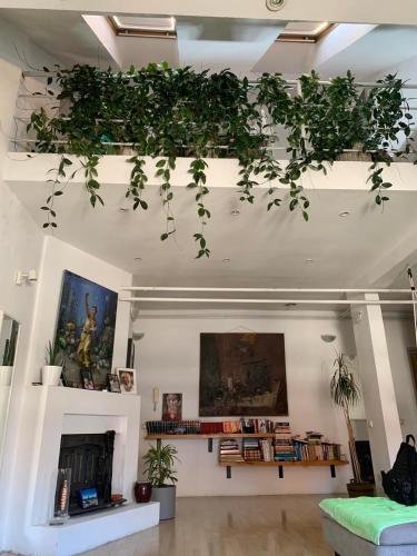 Urban Jungle Skygarden