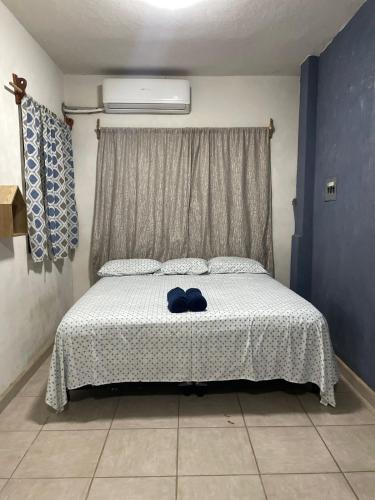 Casa Céntrica (Casa Centrica) in Tamasopo