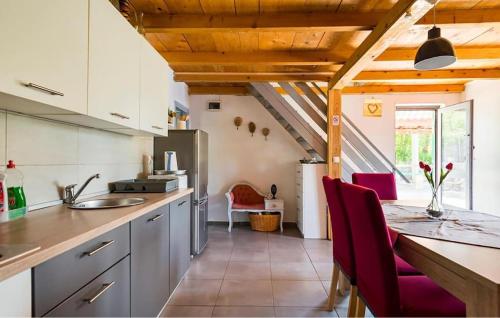 virtuve, Gorgeous Home In Trilj in Grab