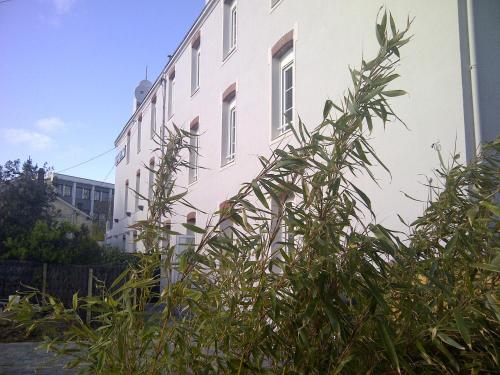 Hotel Mona Lisa - image 2