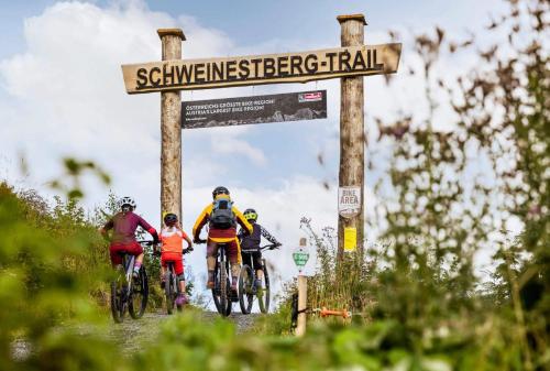  Villa-Musica in Fieberbrunn