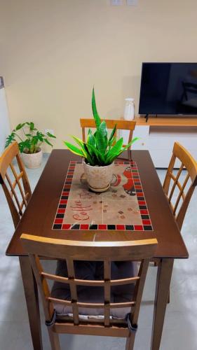 Cozy and stylish 2-bedroom apartment in Constanza in Constanza