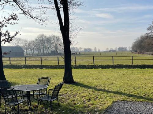 Apkārtne, Forest Villa, Rural Twente in Twenterand