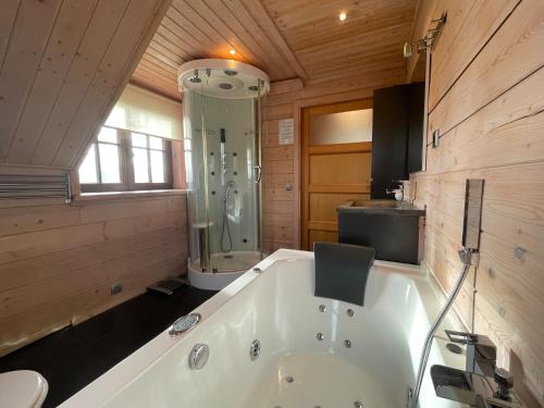 Fürdőszoba, Villa with Sauna & Tub in Twenterand
