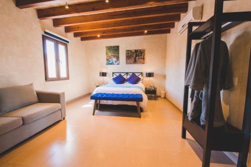 COSIJOPI · Spacious Colonial Home with Terrace - image 2