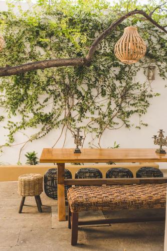 COSIJOPI · Spacious Colonial Home with Terrace - image 3