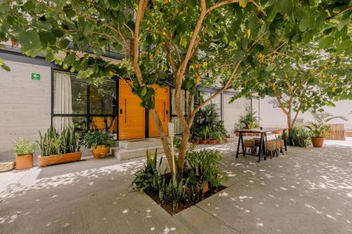 COMPLEJO GARCIA · Apartment Complex with Greenery Steps to Zocalo