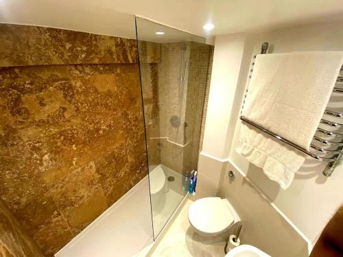 Stylish London Flat with Private Patio - image 9
