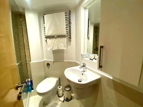 Stylish London Flat with Private Patio - image 4