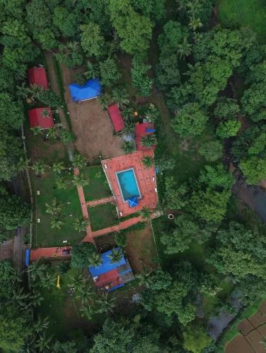 wild paradise jungle homestay in Hankon