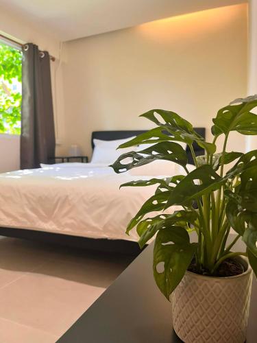Vendégszoba, EAIN (WORK+STAY) in Silom