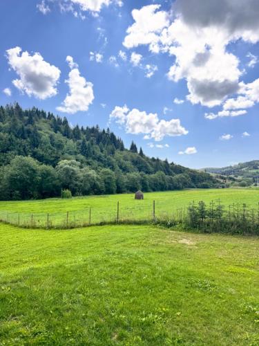 Apartamenty Lisovychok in Rečka