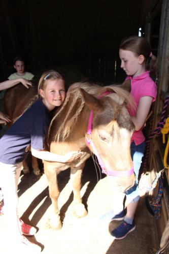 . Pony-und Ferienhof Gut Habbecke