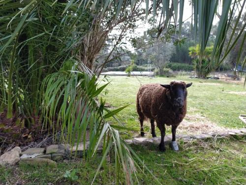 Suite no campo in Cercal